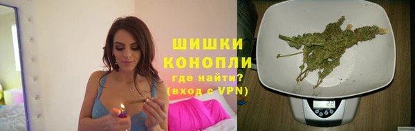 ПСИЛОЦИБИНОВЫЕ ГРИБЫ Чердынь