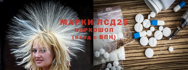 ПСИЛОЦИБИНОВЫЕ ГРИБЫ Чердынь