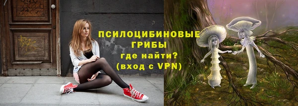 ПСИЛОЦИБИНОВЫЕ ГРИБЫ Чердынь