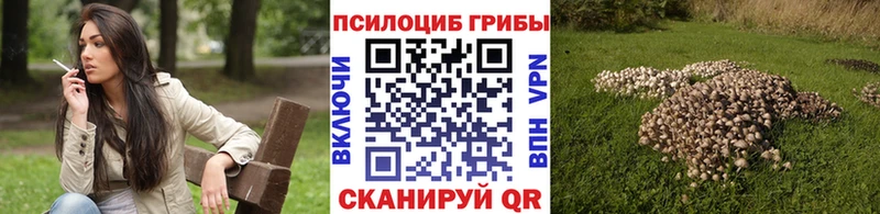 Псилоцибиновые грибы GOLDEN TEACHER Балабаново