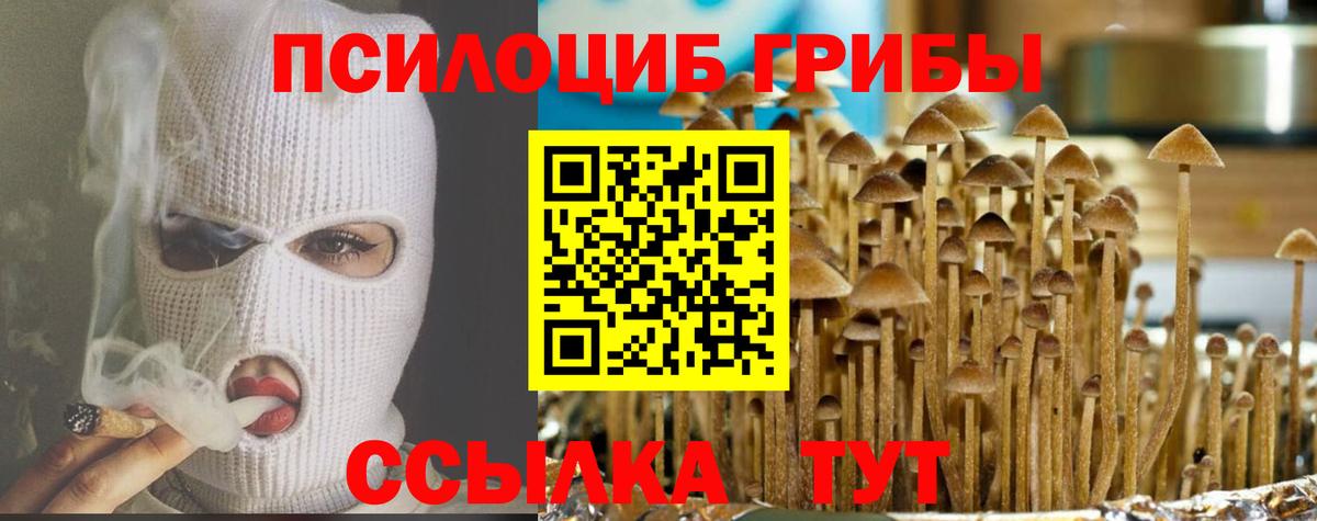 купить   Галлюциногенные грибы Psilocybe  Балабаново  Псилоцибиновые грибы Psilocybine cubensis 
